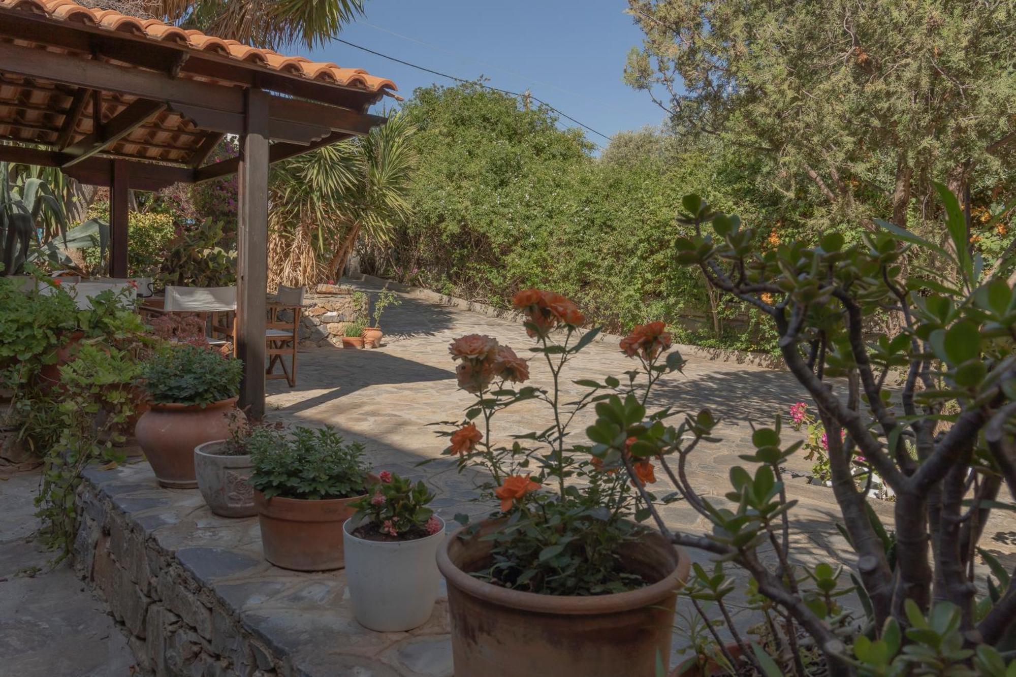 Private Pet Friendly Villa Ágios Nikólaos Eksteriør bilde