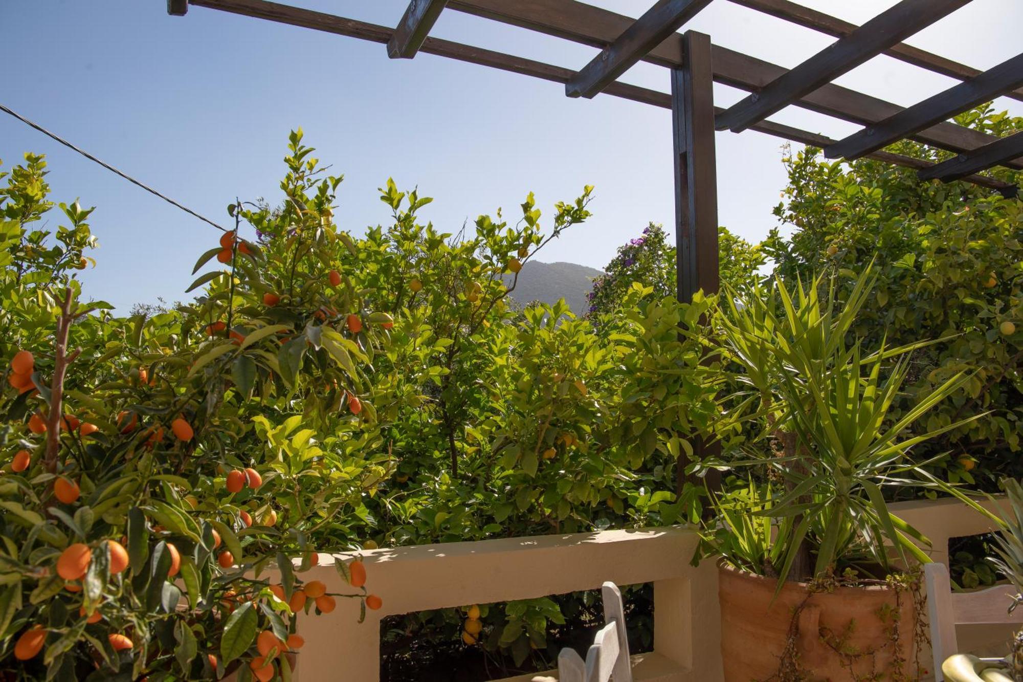 Private Pet Friendly Villa Ágios Nikólaos Eksteriør bilde